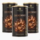 Kit 3 Cacao Whey Protein 450g - Essential Nutrition