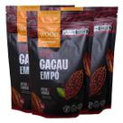 Kit 3 Cacau Em Pó Alcalino Natural 100% Cacau 226g