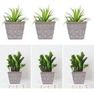 Kit 3 Cachepot Cimento Floral Jardim Suculenta 16 X 16