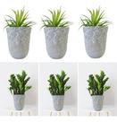 Kit 3 Cachepot Cimento Redondo Flores Jardim 24 X 18