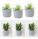 Kit 3 Cachepot Cimento Redondo Mosaico Jardim 13 X 16