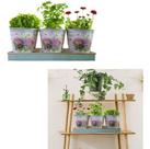 Kit 3 Cachepot Floral Com Bandeja Poliresina Jardim 37 X 14