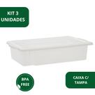 Kit 3 Caixa Frigorifica Com Tampa Multiuso Pro 15l