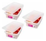 Kit 3 Caixa Multiuso Para Armazenar Alimentos Carnes Aves 5L