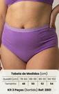 Kit 3 Calcinhas Cintura Alta Plus Size Linda Brasil Ref 2801