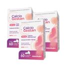 Kit 3 Calcio Gestan 500mg 60 Comprimidos Kit 3 Calcio Gestan 500mg 60 Comprimidos