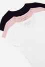 Kit 3 Camisetas Femininas Gola v Polo Wear Sortido