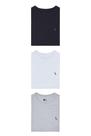 Kit 3 Camisetas Masculina Básicas Pica Pau Bordado Reserva