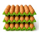 Kit 3 Cartela De Ovos Plástica Bandeja 30 Ovos Higiênica