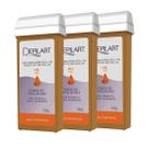 Kit 3 Ceras Depilatória Roll-on Mel 100g - Depilart