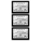 Kit 3 Certificados Diplomas A4 com Tela de Acetato e MDF