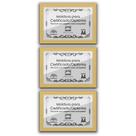 Kit 3 Certificados Diplomas A4 com Tela de Acetato e MDF