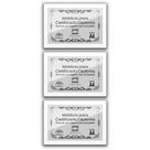 Kit 3 Certificados Diplomas A4 com Tela de Acetato e MDF