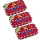 Kit 3 Chiclete Barkleys Chewing Gum Cinnamon Canela 30 Gr