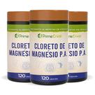 Kit 3 Cloreto de Magnésio P A 500mg 120 Cápsulas Fitoprime