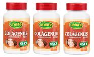 Kit 3 Colágeno Hidrolisado - Puro - Unilife - 60 Cápsulas
