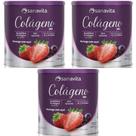 Kit 3 Colágeno Skin - Sanavita - Morango com Açaí - 300g