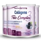 Kit 3 Colágeno tipo 2 + 1 Verisol Trio complex Apisnutri frutas negras 200g
