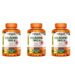 Kit 3 Colágeno Tipo 2 Katigua 90 Cápsulas 40mg Kit 3 Colágeno Tipo 2 Katigua 90 Cápsulas 40mg