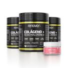 Kit 3 Colágenos Renova Be Verisol Com Biotina + Creme Facial Kit 3 Colágenos Renova Be Verisol Com Biotina + Creme Facial