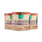Kit 3 Collagen Renew Colágeno Hidrolisado Jabuticaba Nutrify 300g