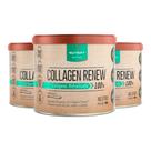 Kit 3 Collagen Renew Colágeno Hidrolisado Neutro Nutrify 300g Kit 3 Collagen Renew Colágeno Hidrolisado Neutro Nutrify 300g