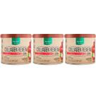 Kit 3 Collagen Renew (Hidrolisado Verisol) Morango 300G