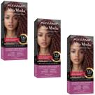 Kit 3 Coloração Alfaparf Alta Moda 7.52 Louro Acaju Violeta