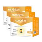 Kit 3 Condrigen Artro Colágeno Tipo 1 e 2 Frutas Amarelas 30 Sachês Maxinutri