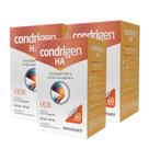 Kit 3 Condrigen H.A. Colágeno Tipo 2 + Ácido Hialurônico 60 Cáps Maxinutri