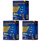 Kit 3 Condroflan Ultra Suplemento Alimentar 60 cápsulas Kit 3 Condroflan Ultra Suplemento Alimentar 60 cápsulas