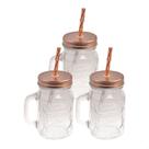 Kit 3 Copos Canecas Vidro Grosso Retrô Vintage Com Tampa e Canudo 500ml