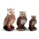 Kit 3 Corujas Espanta Pombos E Passarinhos Em Gesso - Várias Variedades