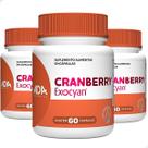 Kit 3 Cranberry 180 Cápsulas Extrato Seco Suplemento Original Fruta Natural Concentrado Vitamina Kit 3 Cranberry 180 Cápsulas Extrato Seco Suplemento Original Fruta Natural Concentrado Vitamina
