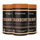 Kit 3 Cranberry 60 cápsulas Fitoprime