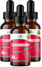 Kit 3 Cranberry em Gotas Sabor Frutas Vermelhas 30ml Celliv