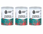 Kit 3 Cranberry She She Comfort Vitamina C Natural OceanDrop