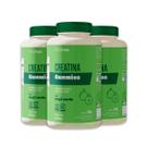 Kit 3 Creatina Gummies Clinicmais 60 Gomas Maça Verde Kit 3 Creatina Gummies Clinicmais 60 Gomas Maça Verde