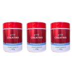 Kit 3 Creatina Monohidratada 240g - Katigua