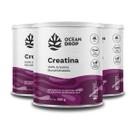 Kit 3 Creatina Monohidratada Ocean Drop Vegana 300g Kit 3 Creatina Monohidratada Ocean Drop Vegana 300g