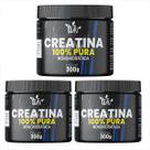 Kit 3 Creatina Pura 300g