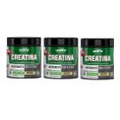 Kit 3 Creatina Saborizada Monohidratada Limão Unilife 300g