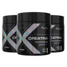 Kit 3 Creatina XTRA NUTRITION 100% Pura 300g Purafor Força, Potência e Desempenho