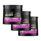 Kit 3 Creme de Tratamento TRESemmé TRESplex Regeneração 400g Kit 3 Creme de Tratamento TRESemmé TRESplex Regeneração 400g