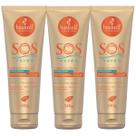 Kit 3 Creme Pré e Pós-Sol Haskell S.O.S Verão 240g Proteção Solar Kit 3 Creme Pré e Pós-Sol Haskell S.O.S Verão 240g Proteção Solar