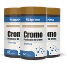 Kit 3 Cromo Picolinato 250mcg Fitoprime Kit 3 Cromo Picolinato 250mcg Fitoprime