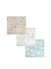 Kit 3 Cueiros Bebê Flanelado Estampado 100% Algodão Berçinho 50cm X 80cm Cor:Neutro