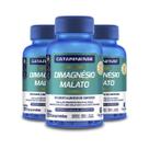 Kit 3 Dimagnésio Malato Catarinense 120 Comprimidos