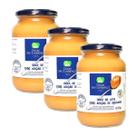 Kit 3 Doce de Leite Diet Zero Açúcar 650g São Lourenço
