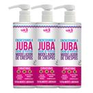 Kit 3 Encrespando A Juba Creme De Pentear Widi Care 500ml